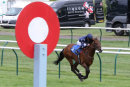 Race 6 - Island Brave (6)