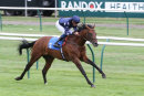 Race 6 - Island Brave (7)