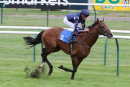 Race 6 - Island Brave (8)