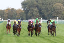 Race 6 - Jedhi (2)