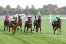 Race 6 - Jedhi (6)