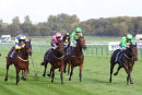 Race 6 - Jedhi (9)