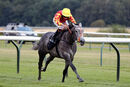 Race 6 - Jewel In My Crown (6)