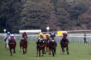 Race 6 - Kattani (2)