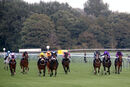 Race 6 - Kattani (3)