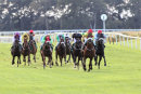 Race 6 - Kenny The Captain (4)