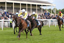 Race 6 - Kihavah (4)