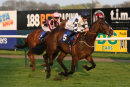 Race 6 - Lamloom (6)