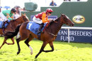 Race 6 - Lincoln Rocks (19)