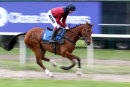 Race 6 - Lithic (2)