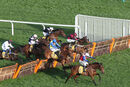 Race 6 - Love Envoi (4)