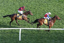 Race 6 - Love Envoi (6)