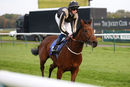 Race 6 - Lovely Lou Lou (12)