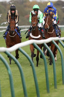 Race 6 - Lovely Lou Lou (2)