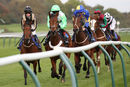 Race 6 - Lovely Lou Lou (4)