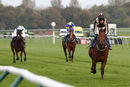 Race 6 - Lovely Lou Lou (5)