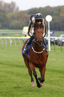 Race 6 - Lovely Lou Lou (7)