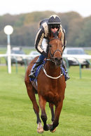 Race 6 - Lovely Lou Lou (8)