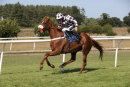 Race 6 - Lucky Robin (10)
