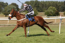 Race 6 - Lucky Robin (11)