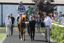 Race 6 - Lucky Robin (12)