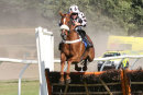 Race 6 - Lucky Robin (4)