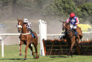 Race 6 - Lucky Robin (6)
