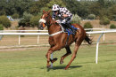 Race 6 - Lucky Robin (7)