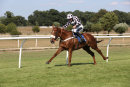 Race 6 - Lucky Robin (8)