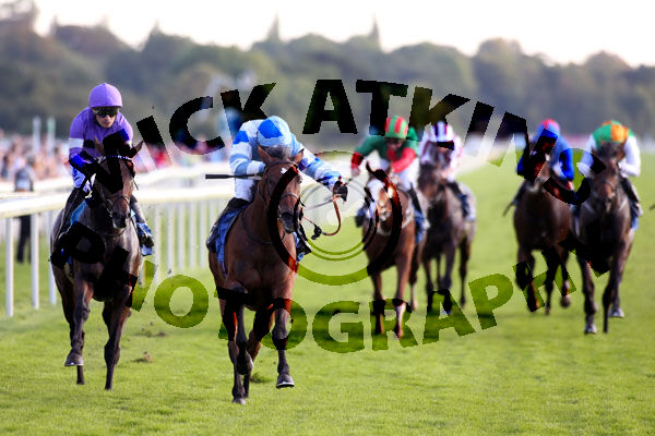 Race 6 - Luna Dorada (3)