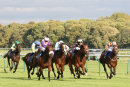 Race 6 - Lyricas Lion (3)
