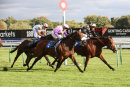 Race 6 - Lyricas Lion (8)