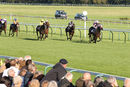 Race 6 - Maid in Manhattan (2)