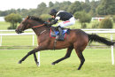 Race 6 - Mighty Leader (10)