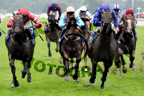 Race 6 - Migration (2)