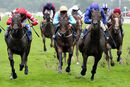 Race 6 - Migration (2)