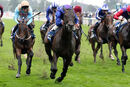 Race 6 - Migration (3)