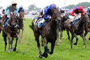 Race 6 - Migration (4)