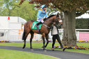 Race 6 - Militia (8)