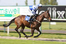 Race 6 - Minella Voucher (2)