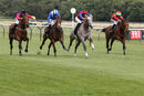 Race 6 - Miramichi (3)