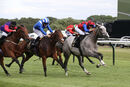 Race 6 - Miramichi (8)