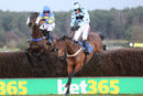 Race 6 - Miss Amelia (4)