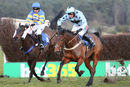 Race 6 - Miss Amelia (5)