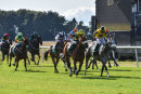 Race 6 - Miss Goldsmith (3)