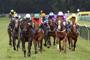 Nottingham Races (5 June 19)