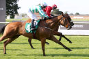 Race 6 - Muscika (10)065