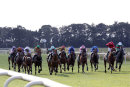 Race 6 - Muscika (3)072