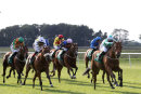 Race 6 - Muscika (5)074