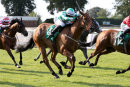 Race 6 - Muscika (6)075